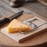 comment piéger des souris efficacement dans votre maison